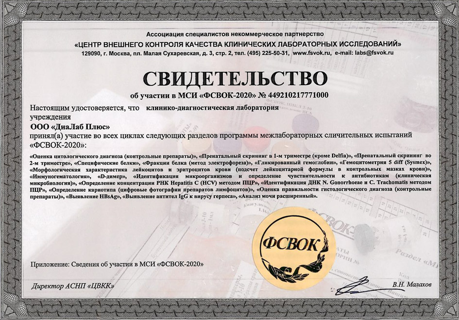Свидетельство об участии в МСИ ФСВОК-2020